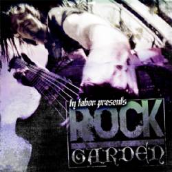 Ty Tabor : Rock Garden